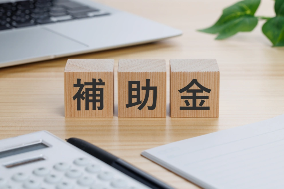 国や自治体の公募要件に合わせて申請・審査が行われる補助金のイメージ